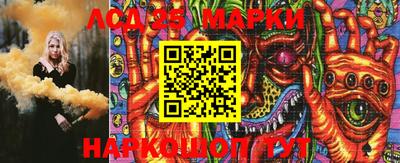 гашик Моздок