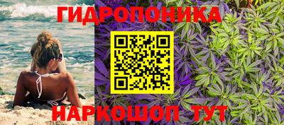 mdma Можга