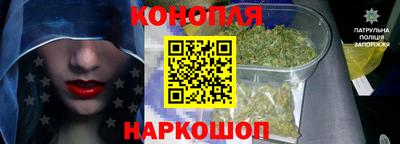гашик Моздок