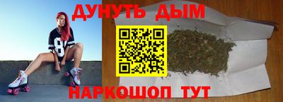 гашик Моздок