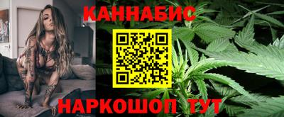 гашик Моздок