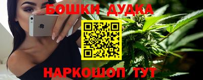 гашик Моздок
