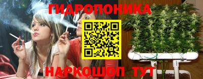 гашик Моздок