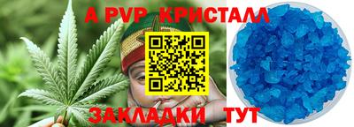 гашик Моздок